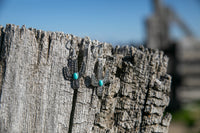 Cactus Earrings